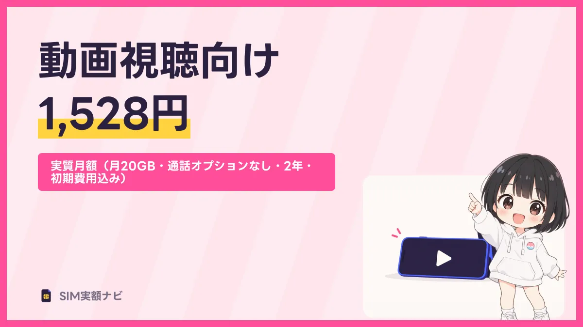 動画視聴向け 1,528円のキャッチ画像